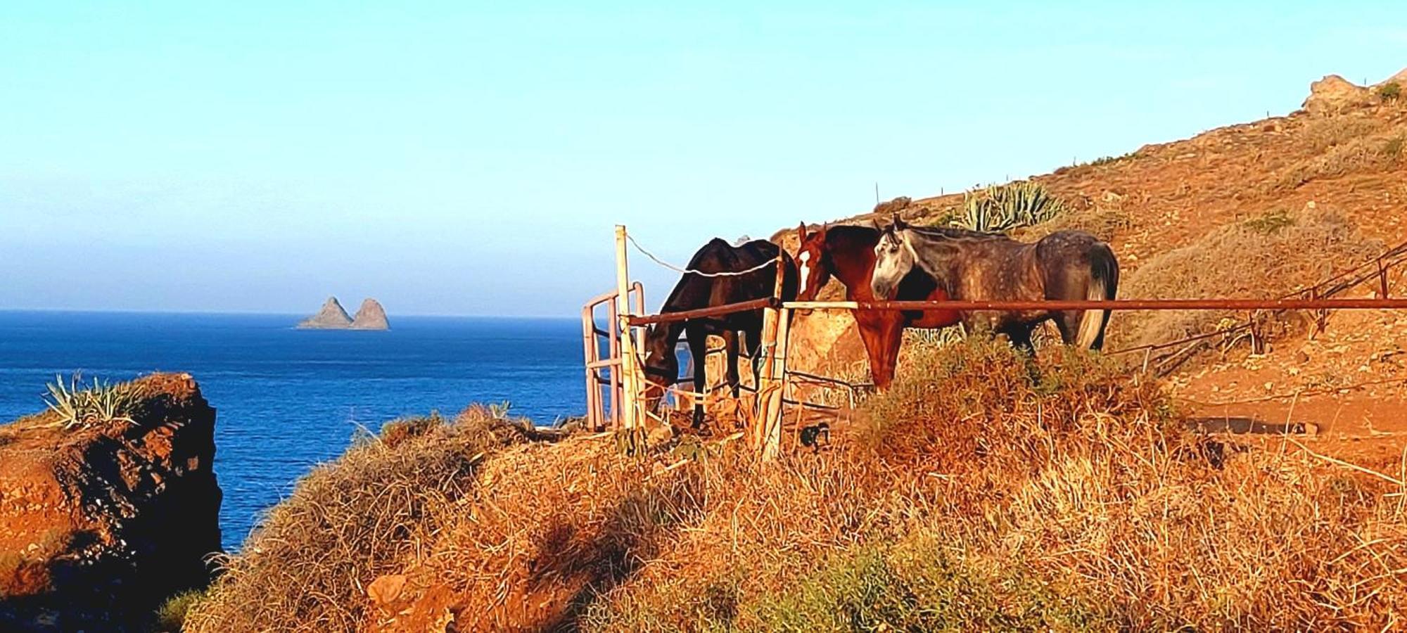 Casa Tucho Paraiso Sea Sound Σάντα Κρουζ Τενερίφης Εξωτερικό φωτογραφία